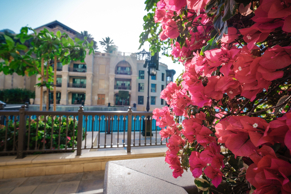 Boutique Resort Grounds